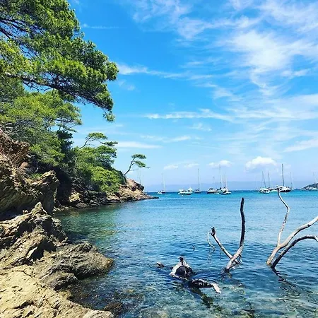Studio 4 Personnes Avec Vue Sur Le Port * Hyeres